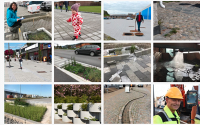 Klimatilpasning: Jeg har lært av de beste