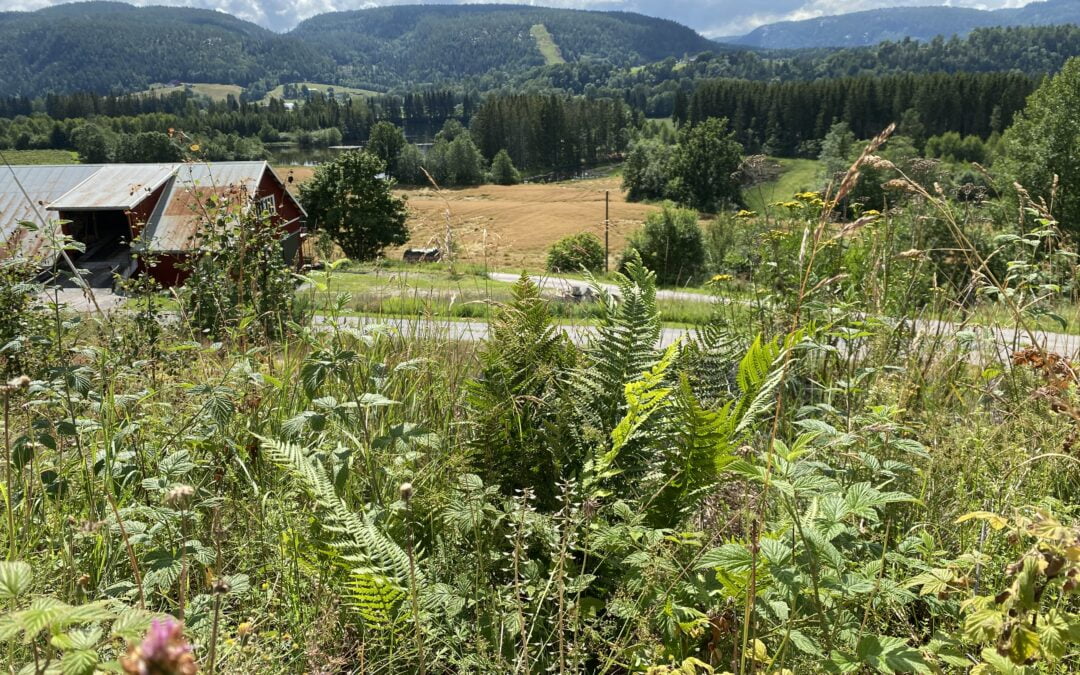 Telemark; sluser, sykkeltur og vingården